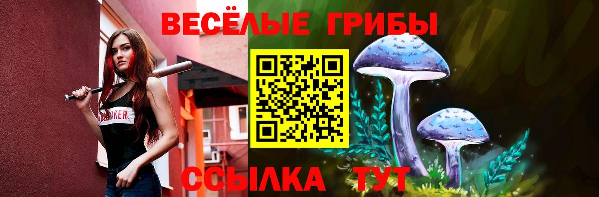 Псилоцибиновые грибы мухоморы  Вход с VPN  где купить наркотик  Йошкар-Ола 