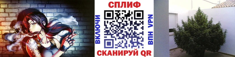 площадка официальный сайт  Йошкар-Ола  Бошки марихуана OG Kush 